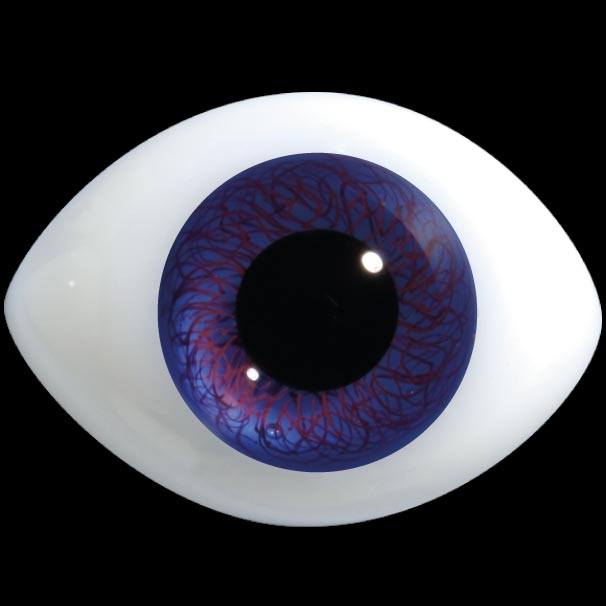 D400 HD Regular Oval Glass Doll Eye 1 
