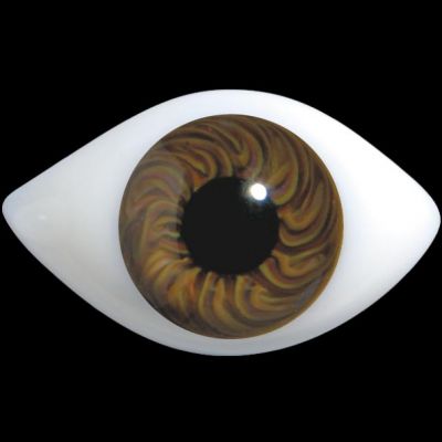 D300 Elongated Oval - Elongated Oval Glass Eyes - Doll Eyes (By Shape)