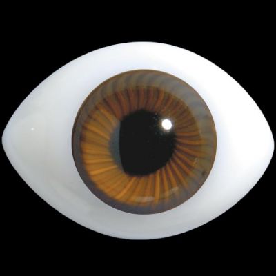 Glass Oval Paperweight Doll Eyes with a Human Iris - 1 pair (5035 Seri